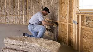 Best Basement Insulation  in Shakopee, MN