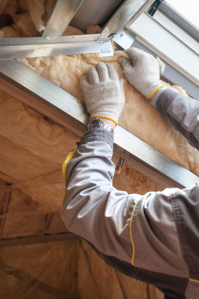 Best Soundproof Insulation  in Shakopee, MN