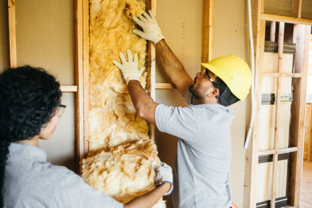 Best Eco-Friendly or Green Insulation Solutions  in Shakopee, MN